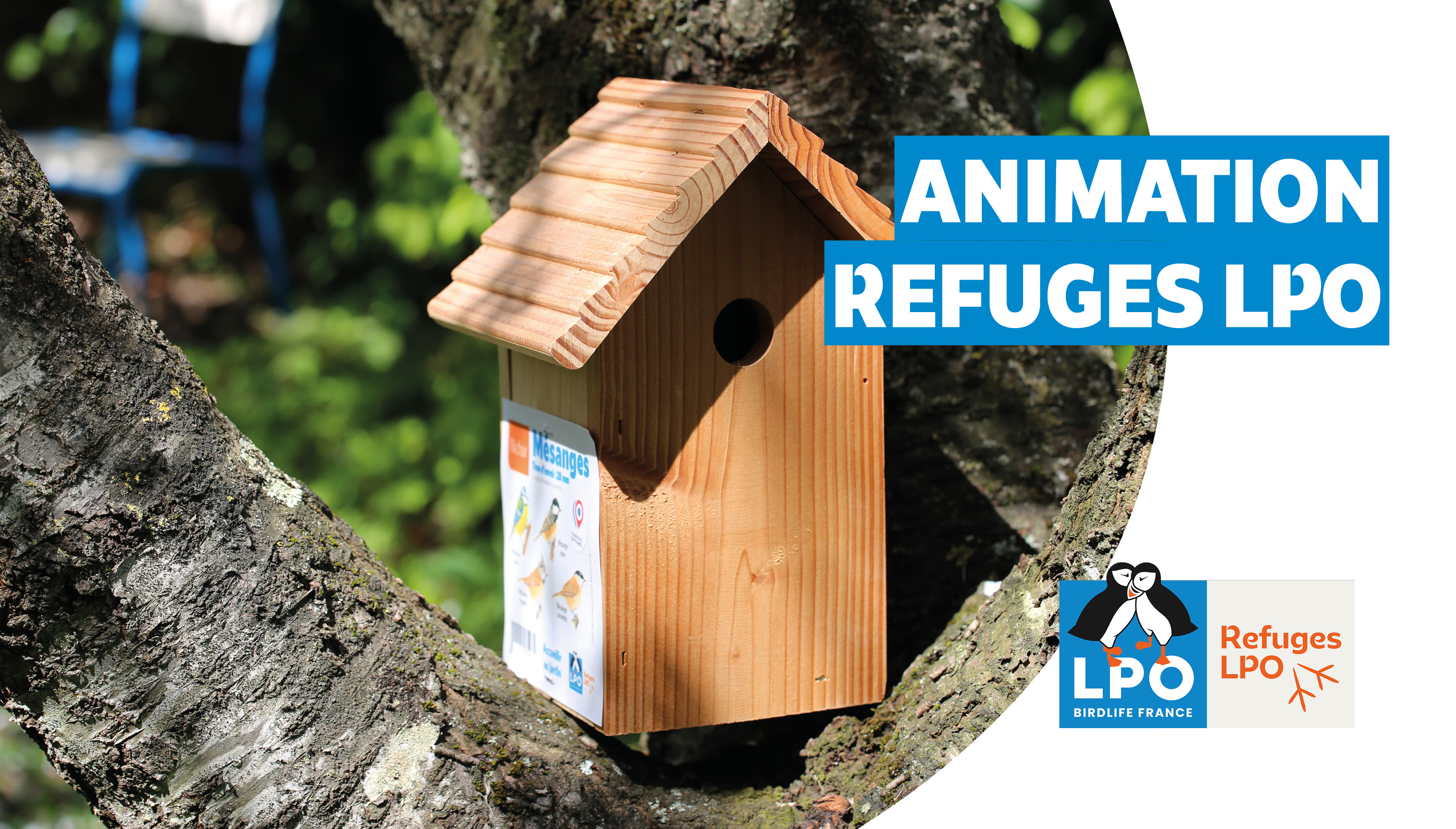 Temps d'échanges questions/réponses autour des Refuges LPO